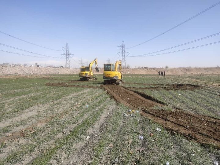 تخریب زمینهای زراعی شهریار بهدلیل آبیاری با فاضلاب تخریب زمینهای زراعی شهریار بهدلیل آبیاری با فاضلاب