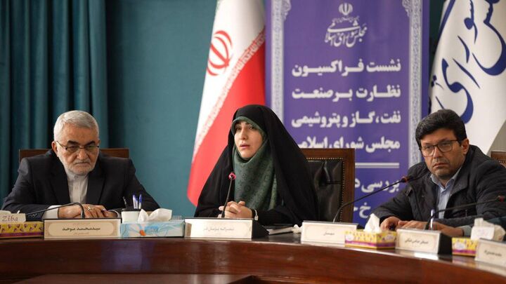 قیمتگذاری خوراک پتروشیمی زیر ذرهبین مجلس قیمتگذاری خوراک پتروشیمی زیر ذرهبین مجلس