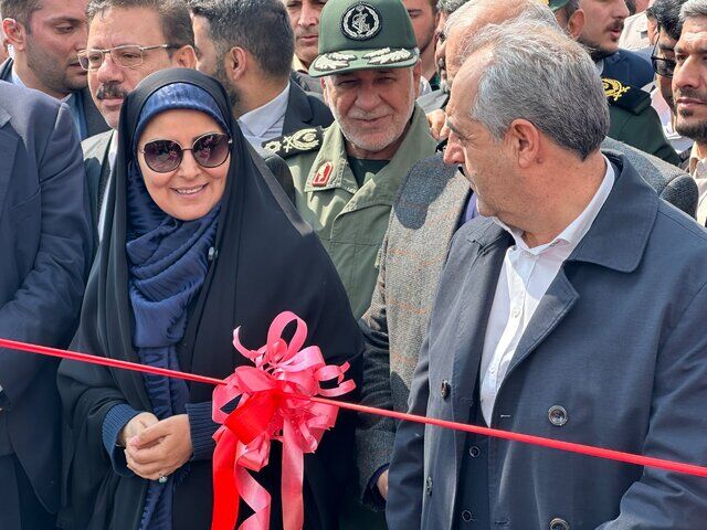 تهران به سمت بیپناهی میرود| مولدسازی به معنای تبدیل باغات و ریههای شهر به برج باغ نیست