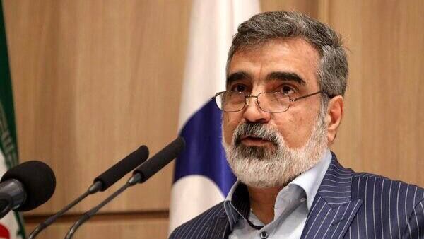 کمالوندی: صنعت هستهای دوباره خودش را شکوفا میکند کمالوندی: صنعت هستهای دوباره خودش را شکوفا میکند