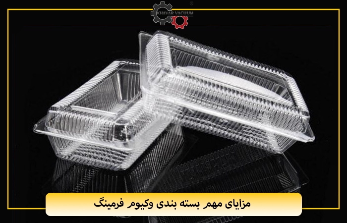 تحولی نوین در صنعت بستهبندی: معرفی انواع بستهبندی وکیوم، وکیوم فرمینگ و خدمات بستهبندی