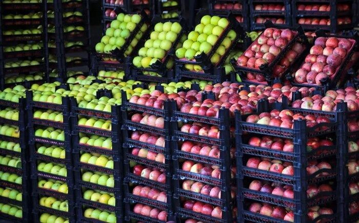 قیمت میوه و تره بار ۸ آبان ۱۴۰۴ قیمت میوه و تره بار ۸ آبان ۱۴۰۴