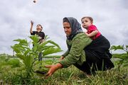 تخصیص ۵۰۰ مترمربع زمین برای ساخت مساکن معیشت محور در روستاهای آذربایجان‌شرقی