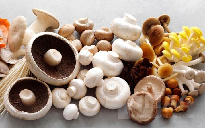 افزایش ۳ برابری قیمت قارچ طی ماههای اخیر دور از چشم ناظران افزایش ۳ برابری قیمت قارچ طی ماههای اخیر دور از چشم ناظران