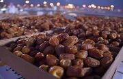 حضور در اگروفود با هدف ارتقای تجارت خرمای ایران| جدیدترین نوآوری‌ها را به نمایش می‌گذاریم