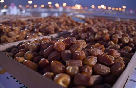 خاور میانه پیشتاز تولید و صادرات خرما| رشد ۶ درصدی بازار جهانی خرما تا ۲۰۳۳