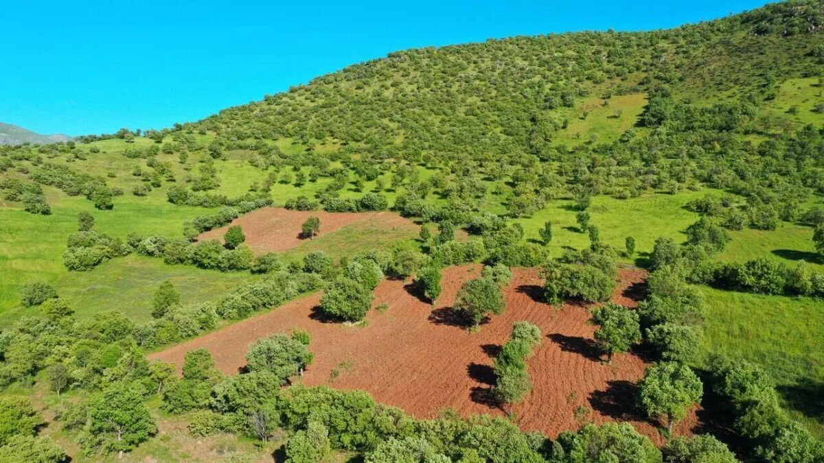 رفع تصرف ۷۴ هزار مترمربع اراضی ملی در مهاباد