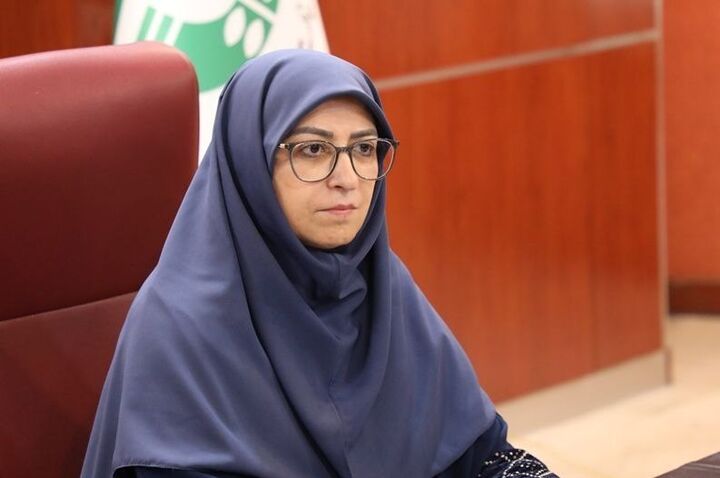 ۳۰ استان کشور درگیر پدیده فرونشست هستند ۳۰ استان کشور درگیر پدیده فرونشست هستند