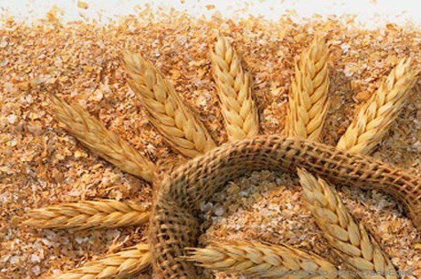 صرفه‌جویی ۴۰۰۰ تنی گندم با کاهش سبوس‌گیری در خراسان رضوی
