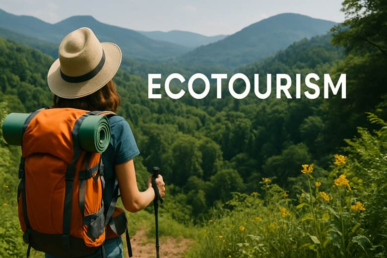 اکوتوریسم چیست و چه نقشی در حفاظت از محیط زیست دارد؟