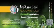 پماد معجزه آسای درمان دیسک آدورامین توکا