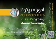 اکوتوریسم چیست و چه نقشی در حفاظت از محیط زیست دارد؟