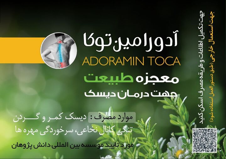 اکوتوریسم چیست و چه نقشی در حفاظت از محیط زیست دارد؟