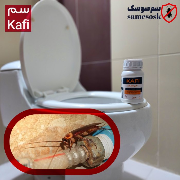 سم مخصوص سوسک فاضلاب