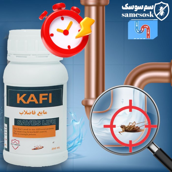 بهترین زمان استفاده از سم سوسک فاضلاب