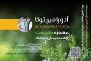 پماد معجزه آسای درمان دیسک آدورامین توکا