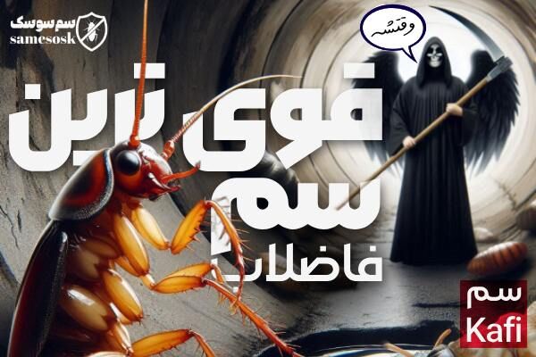 بهترین سم برای از بین بردن سوسک فاضلاب [ بدون بو - مخصوص سوسک آمریکایی ]