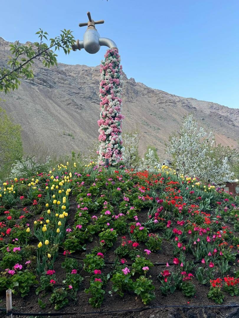 کوهپایه های البرز میزبان چهارمین جشنواره گل ها شد
