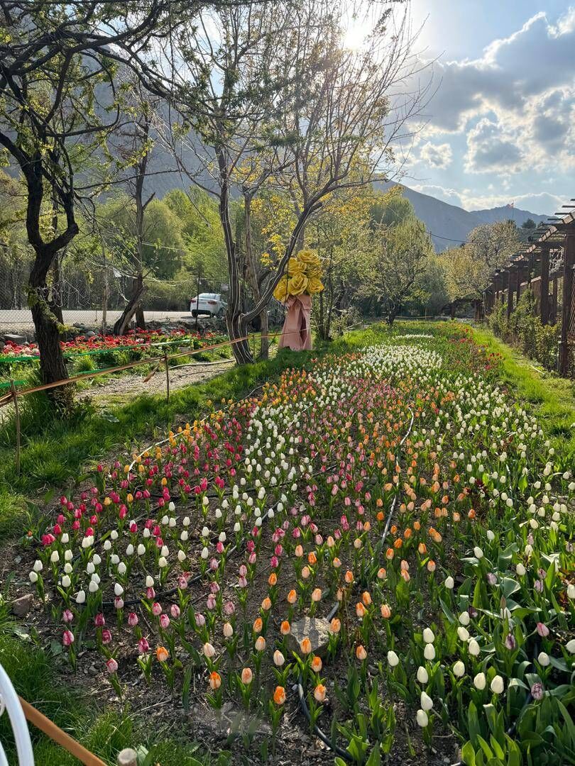 کوهپایه های البرز میزبان چهارمین جشنواره گل ها شد