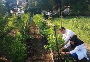 توسعه آموزش کشاورزی از هنرستان تا مزرعه