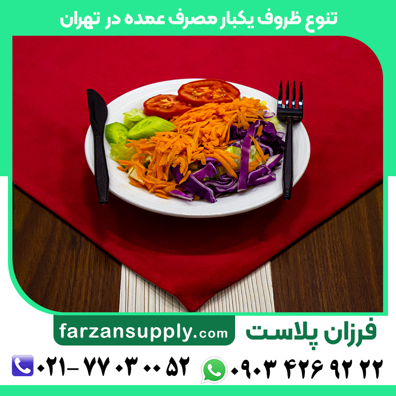 پخش ظروف یکبار مصرف تهران