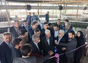 بهره‌برداری فاز سوم بزرگترین پرورش ماهی آب‌چشمه شرق کشور در بجنورد