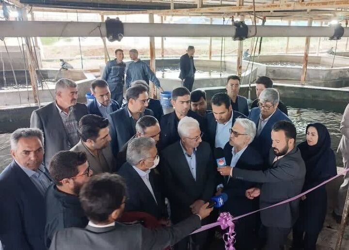 بهره‌برداری فاز سوم بزرگترین پرورش ماهی آب‌چشمه شرق کشور در بجنورد