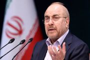قالیباف: دولت حق قیمت‌گذاری ندارد