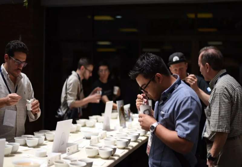 خرید قهوه برای کافی شاپ با بهترین قیمت