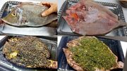 ضرورت برگزاری جشنواره «حشو» خوزستان| طعم اصالت در مسیر گردشگری جنوب
