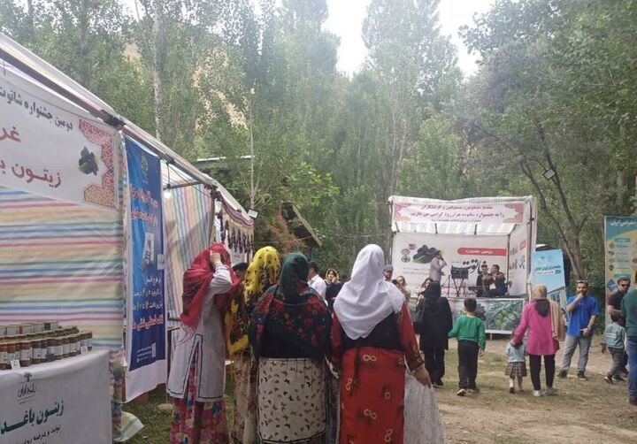 دومین جشنواره شاتوت در روستای هزار رود طارم برگزار شد