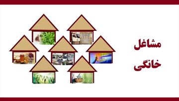 فرماندار تربت‌حیدریه از رشد ۱۰۰ درصدی تسهیلات مشاغل خانگی خبر داد