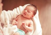 سقوط بی‌سابقه متولدین از اوج دهه ۶۰ تا بحران ۱۴۰۳
