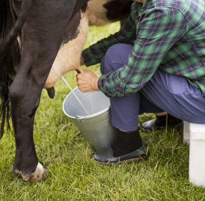 چرا نوسانات بازار خوراک دام در ایران دامداران را به کنسانتره دامی تخصصی سوق داده است چرا نوسانات بازار خوراک دام در ایران دامداران را به کنسانتره دامی تخصصی سوق داده است