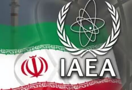 بیانیه ۸ کشور در حمایت از ایران در آژانس انرژی اتمی
