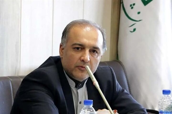 سبحانی: اطلاعاتی داریم که ریزپرنده‌ها از برخی کشورهای همسایه وارد ایران شده است