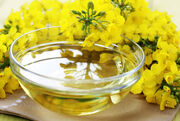 ارزش بازار جهانی روغن کانولا تا پایان ۲۰۲۵ از ۴۵۷میلیون دلار فراتر می رود
