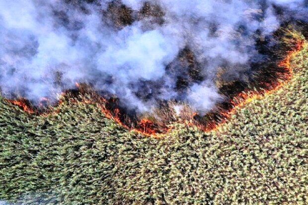 دود هورالعظیم، نفس خوزستان را تنگ کرد دود هورالعظیم، نفس خوزستان را تنگ کرد