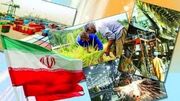 نیمی از مشاغل ایران، خدماتی است
