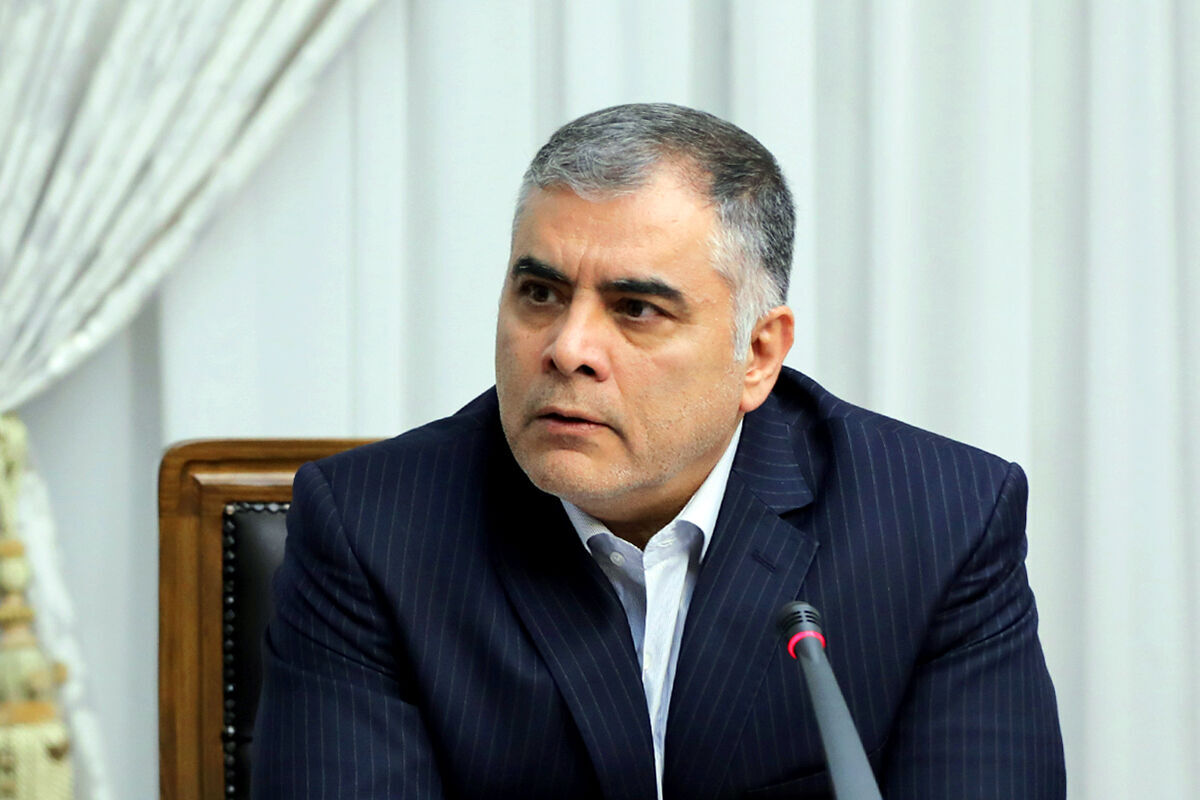 پاک نژاد: «شورای عالی انرژی» تشکیل میشود