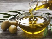 «رایزنان» حلقه اتصال زنجان با کشورهای پیشرو در صنعت زیتون باشند