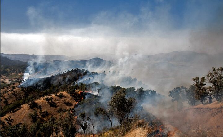 آتشسوزی گسترده در آبیدر سنندج مهار شد؛ مصدومیت ۳ نفر از نیروهای مردمی آتشسوزی گسترده در آبیدر سنندج مهار شد؛ مصدومیت ۳ نفر از نیروهای مردمی