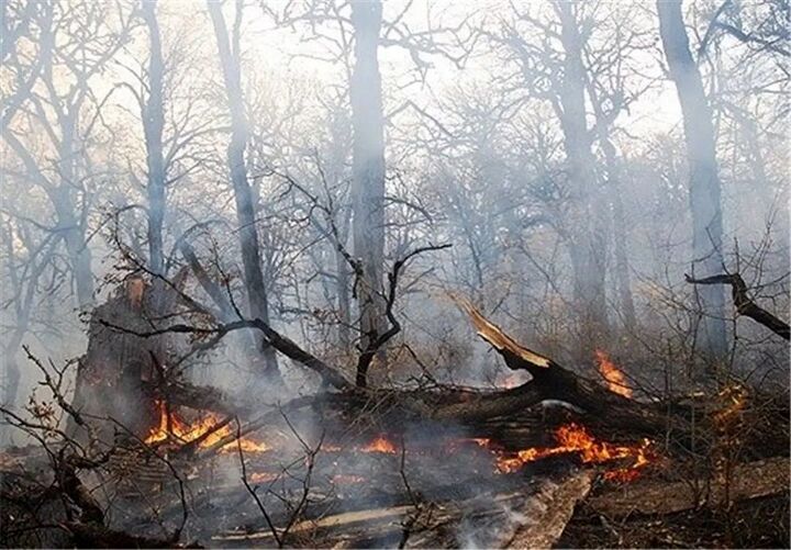 آتشسوزی در بخشهایی از پارک ملی تندوره آتشسوزی در بخشهایی از پارک ملی تندوره