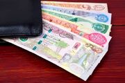 ۲ میلیون زائر ارز اربعین دریافت کردند| مهلت بازخرید تا ۳۰ مرداد