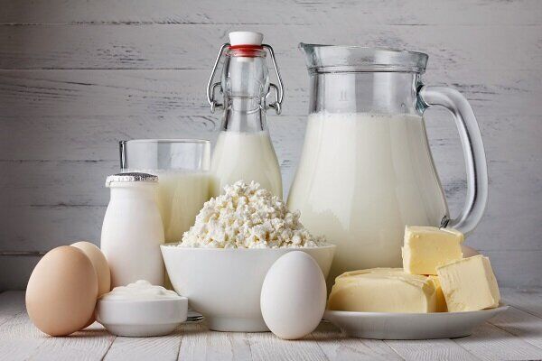 معاون وزیر جهاد: تخلفات قیمتی محصولات لبنی پیگیری می‌شود