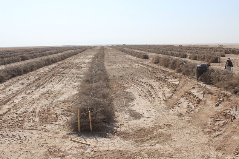 بحران آب و خاک ایران به نقطه اوج رسید! دستور «رئیسجمهور» آخرین فرصت برای اصلاح الگوی کشت