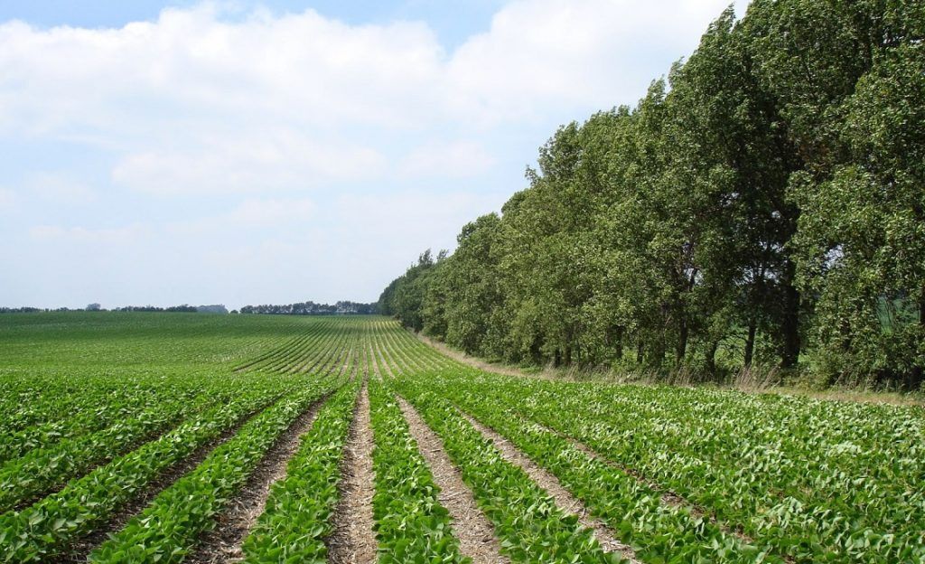 بحران آب و خاک ایران به نقطه اوج رسید! دستور «رئیسجمهور» آخرین فرصت برای اصلاح الگوی کشت