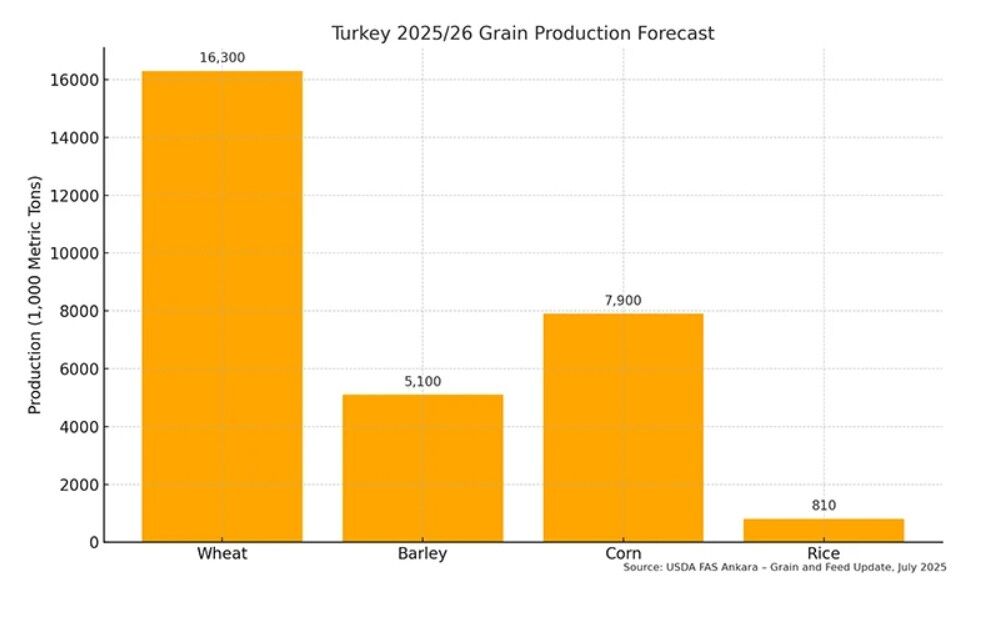خشکسالی و کاهش شدید تولید گندم ترکیه؛ واردات از ۱۰میلیون تن فراتر رفت