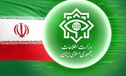 کشف ۲ محموله بزرگ سلاح‌های جنگی سبک و نیمه سنگین توسط وزارت اطلاعات