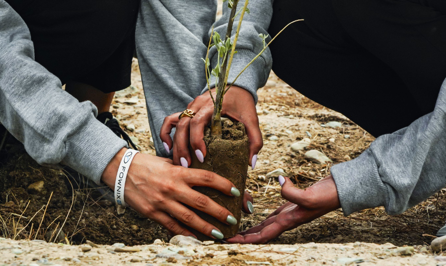 رویشگاه فونیکس با مشارکت مردم احداث شد